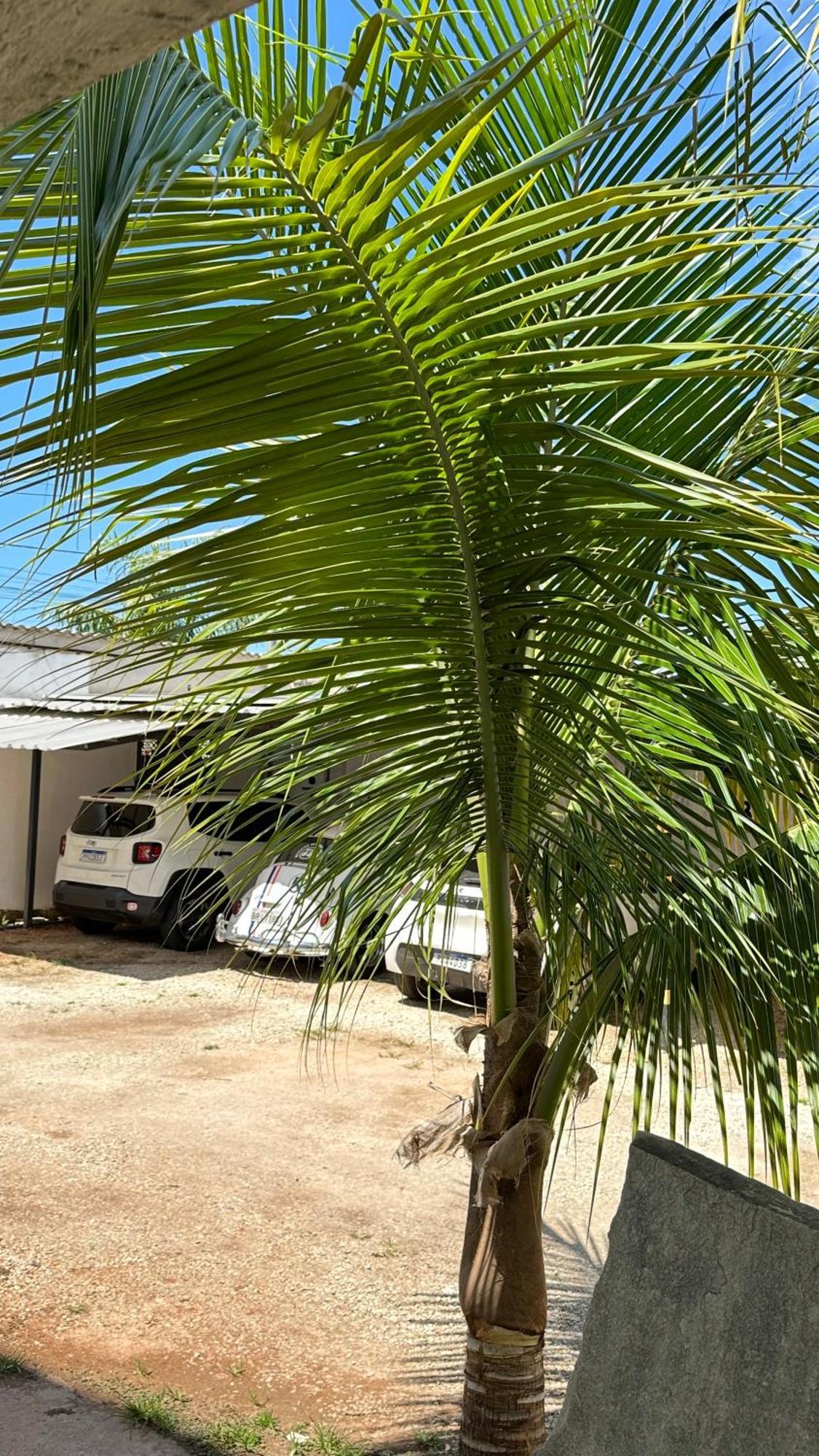 Pousada Caminho Das Cachoeiras Pirenópolis Eksteriør billede